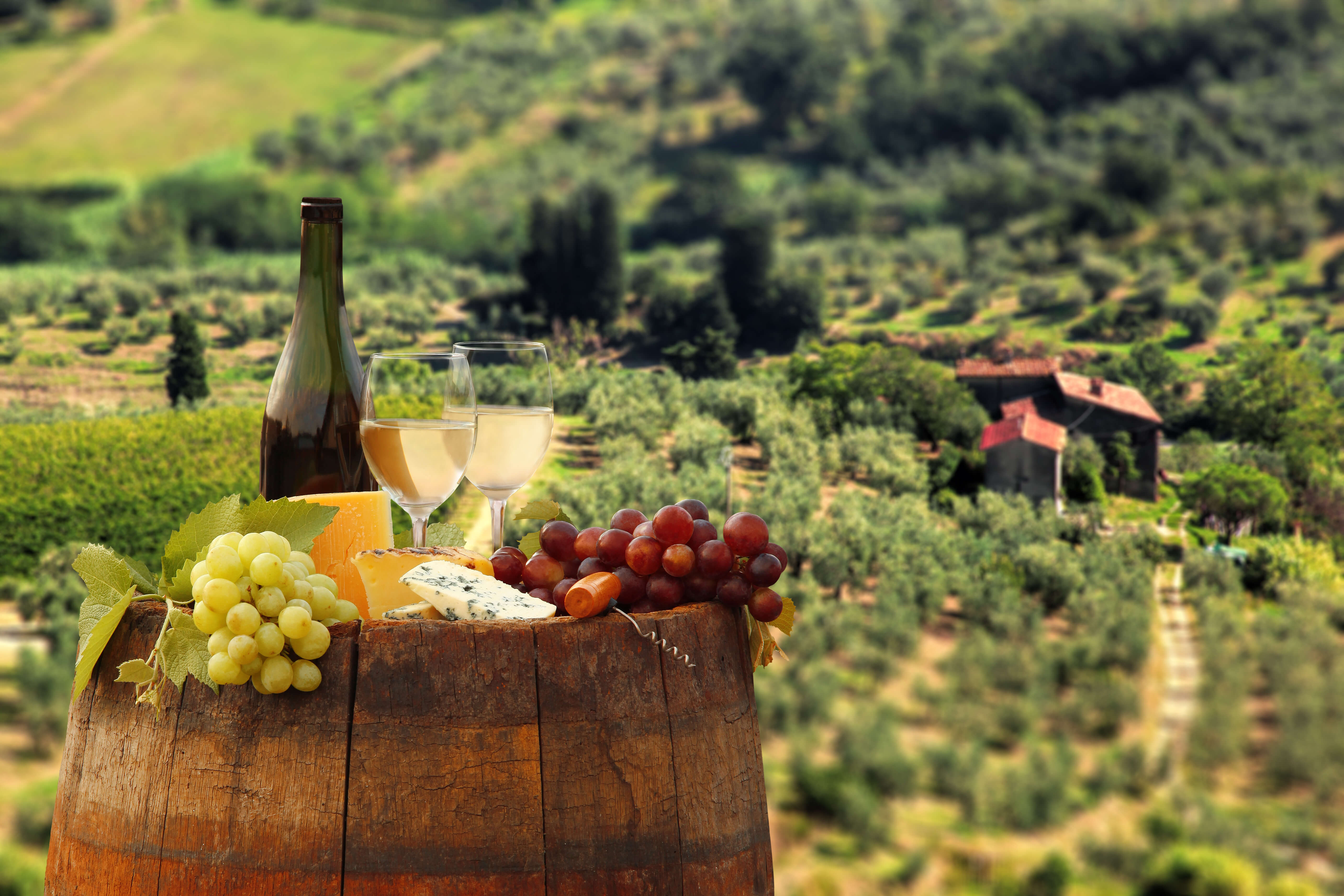 tuscany wine and food tours