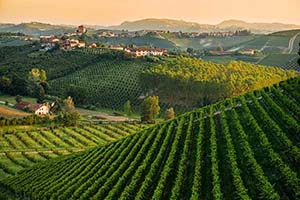 Tuscan Panorama