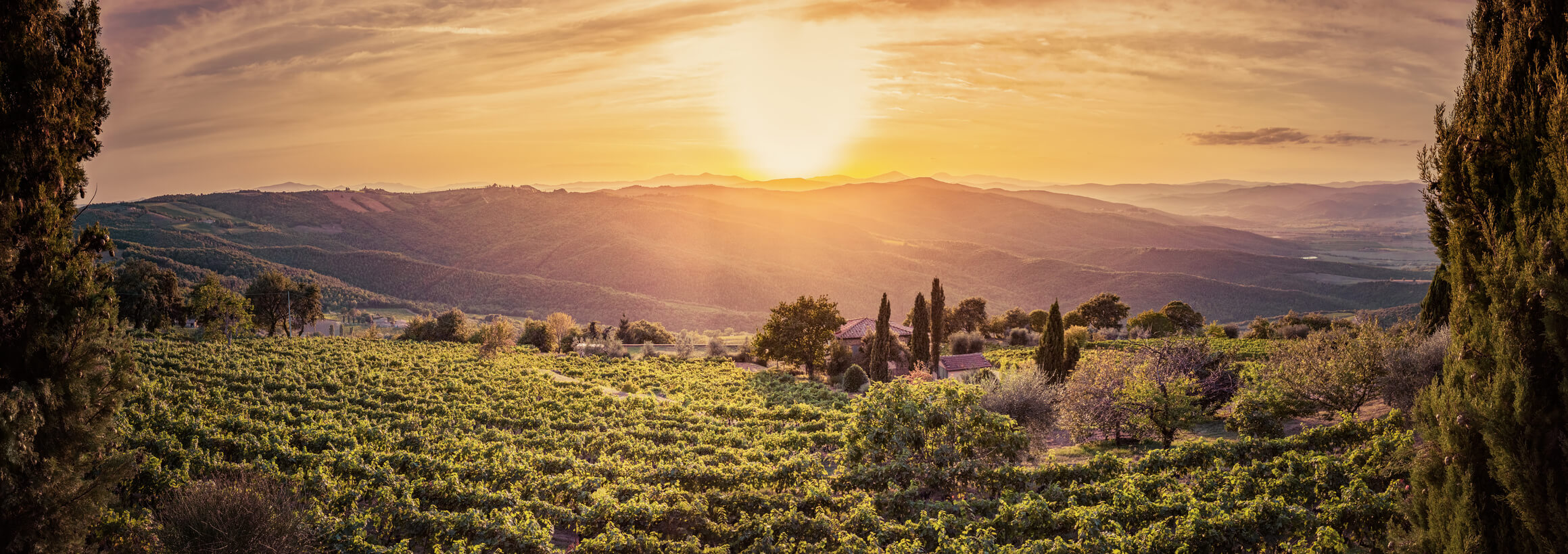 tuscany sunset wine tour