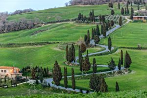 All Roads in Tuscany lead to Great Wine and Food