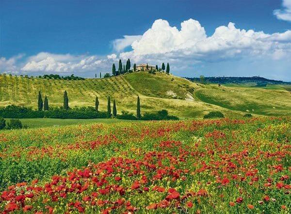 Summer in Tuscany